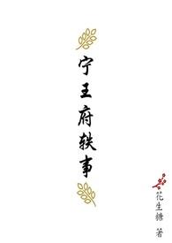 宁王府轶事免费阅读最新章节