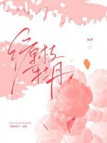 缠枝牡丹几种颜色