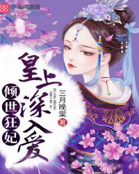 倾世皇妃原著